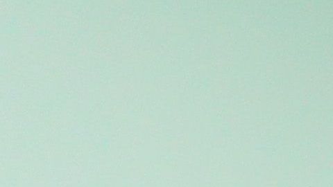 Algunas parejas se arrepintieron poco después.