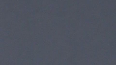 María Celeste Arrarás.