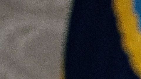 El presidente Trump habría buscado que EEUU tuviera vacuna contra coronavirus en exclusiva.