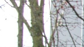 La mayor parte de los contagios se dieron en el centro médico Evergreen.