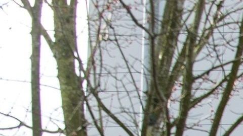 La mayor parte de los contagios se dieron en el centro médico Evergreen.