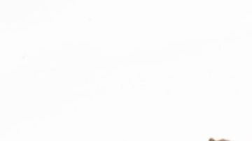 Confía en el poder de la naturaleza y evita el uso de medicamentos con efectos secundarios.