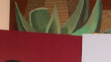 La Secretaría de Educación Pública suspendió las actividades deportivas y cívicas en los planteles de nivel básico y medio superior.