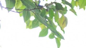 El hecho ocurrió en una iglesia.