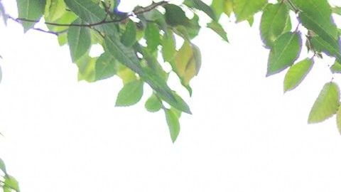 El hecho ocurrió en una iglesia.