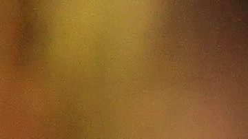 Los cambios de estación sí influyen en el que una mujer se embarace más pronto o no.