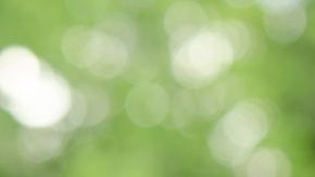 Conoce las bondades curativas de integrar el tu dieta diaria semillas de chía.