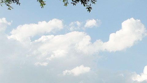 Disney ha explicado que ha instalado desinfectantes de manos adicionales en sus parques.