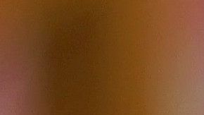 Un minino no debe comer ciertos alimentos aptos para humanos.