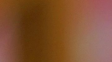 Un minino no debe comer ciertos alimentos aptos para humanos.