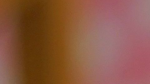 Un minino no debe comer ciertos alimentos aptos para humanos.