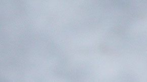 Ahora podrás darle un hogar a un cachorrito al mismo tiempo que recibes un montón de cerveza.