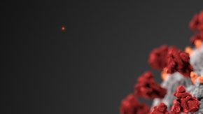 Animación del coronavirus.