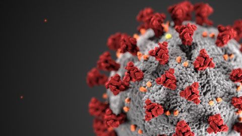 Animación del coronavirus.