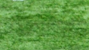 NFL