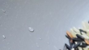 arroz integral-pasrasaa en Pixabay