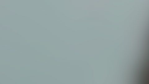 Nathan Roe, de 18 años, ahora está en la cárcel de Miami.