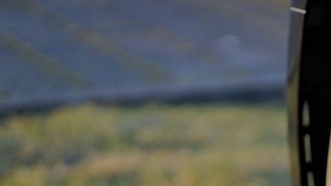 Las llantas de un auto resultan un verdadero paraíso para los caninos y una oportunidad de llegar a lugares recónditos.