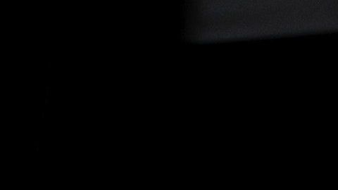 Menos del 5% de la población escoge un auto estándar