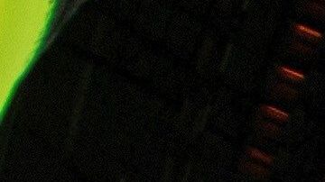 El Santiago Bernabéu se convirtió en un gran centro de aprovisionamiento de material sanitario.