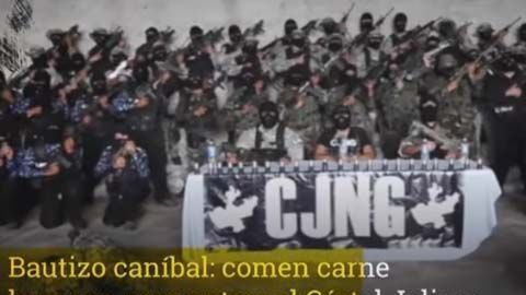Los sicarios del CJNG son adiestrados en campamentos.