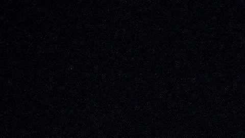 Trump lo acusaría de ser testaferro del "estabishment en Washington DC".