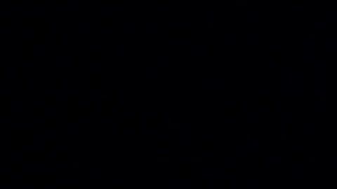 Pete Buttigieg quedó en cuarta posición en Carolina del Sur.