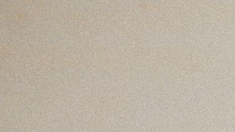 "Spring breakers" dan positivo de COVID-19.