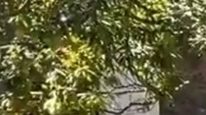 La Primera Dama mexicana apoya los esfuerzos del Gobierno de su país en la lucha contra el coronavirus.