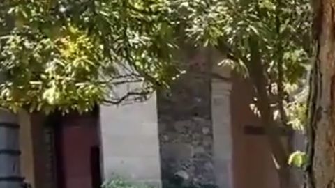 La Primera Dama mexicana apoya los esfuerzos del Gobierno de su país en la lucha contra el coronavirus.