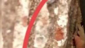 La bebé fue abandonada en la alcaldía Iztacalco.