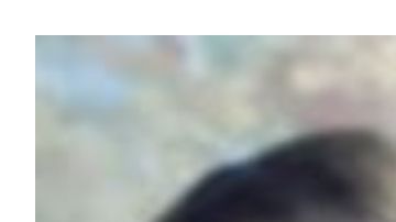 Pensó que teniendo a su familia a cuadro todo saldría a la perfección, pero no.