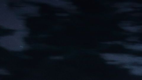 Bentley Mulliner Bacalar - 9