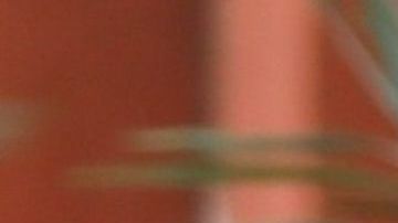 Photo © 2020 Backgrid/The Grosby Group
Spain: Lagencia Grosby

Los Angeles, CA  - 27 FEBRUARY 2020 

EXCLUSIVE

Eiza Gonzalez shows off her fit figure in blue leggings and a sports bra as she covers her makeup-free face after a quick healthy bite at Erewhon Market in Los Angeles.

Pictured: Eiza Gonzalez