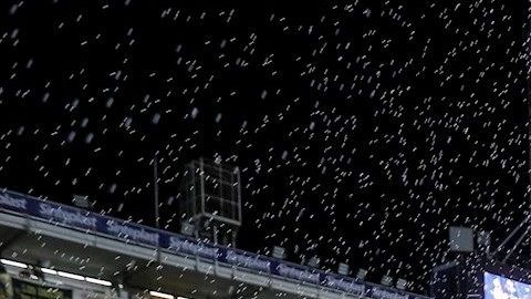 Boca Juniors conquistó una nueva liga en Argentina.