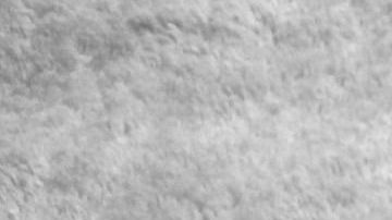 Historias de posesiones han inspirado a directores de cine.