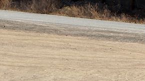 Borderdesierto