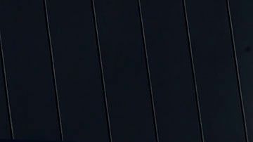 La empresa ofrece esta promoción en sus órdenes para llevar.