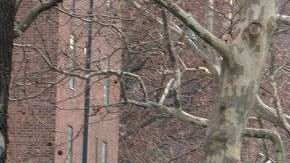 Una escena típica queda de momento cancelada