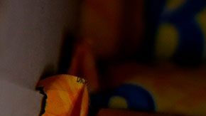 Hay historias bastantes curiosas detrás de este famoso chocolate.