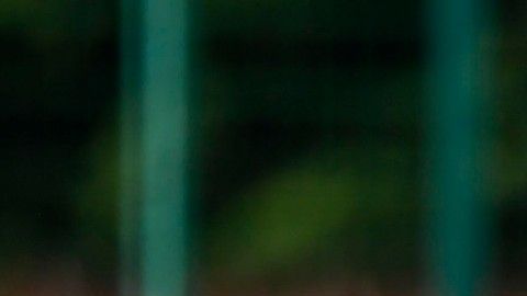 ‘Chucky’ podría sumarse al ‘Lobo de Tepeji’ para fortalecer el ataque.