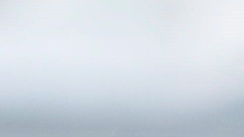 El presidente Donald Trump.