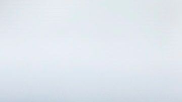 El presidente Donald Trump.