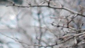 Decenas llegaron al oeste de Manhattan para ver al buque.