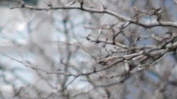 Decenas llegaron al oeste de Manhattan para ver al buque.