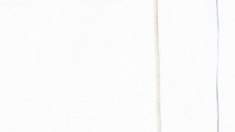 En total, se han confirmado 704 muertos por COVID-19 en todo EEUU.