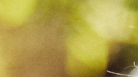 El pastor Samuel Rodríguez.