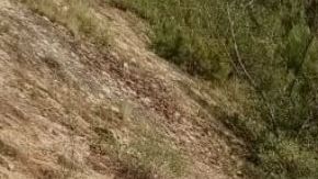 VIDEO: Momento exacto en que helicóptero de soldados mexicanos se desploma