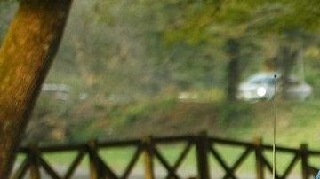 El Vochito de Volkswagen comenzó su producción en el año 1938.