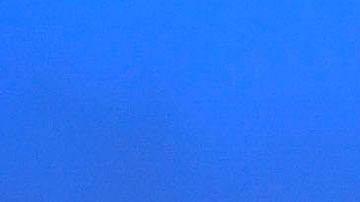 Vela ha asistido a dos Mundiales.